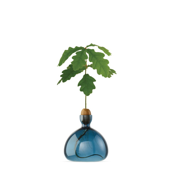 Acorn Vase Blue Jay NEW