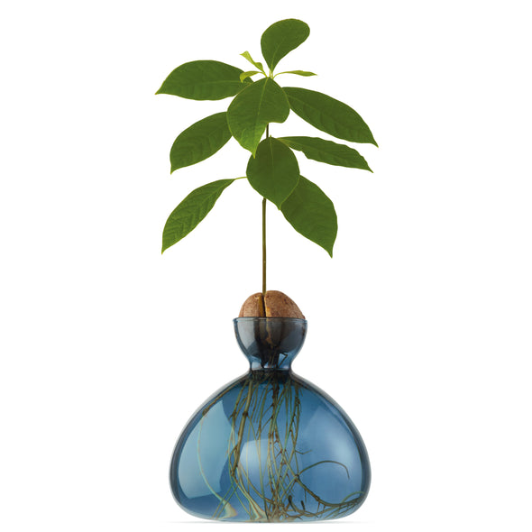 Avocado Vase Blue Jay NEW