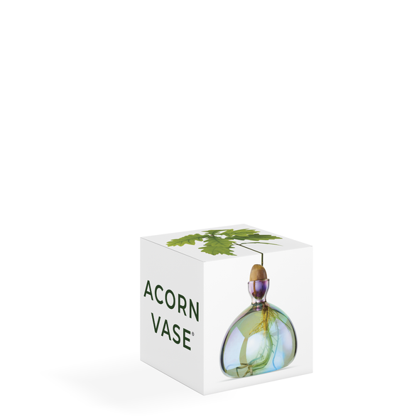 Acorn Vase Cosmic Lyra NEW