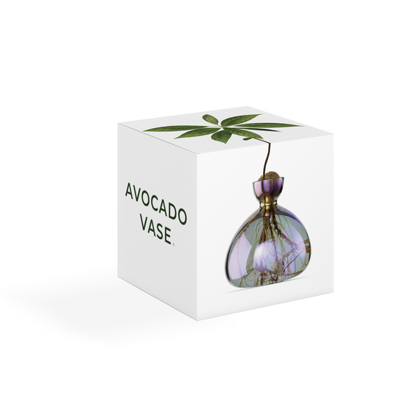 Avocado Vase Cosmic Vega NEW