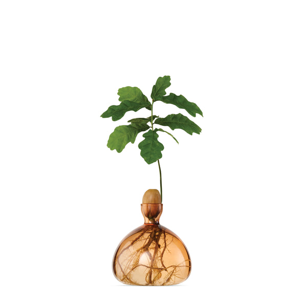 Acorn Vase Sweet Apricot