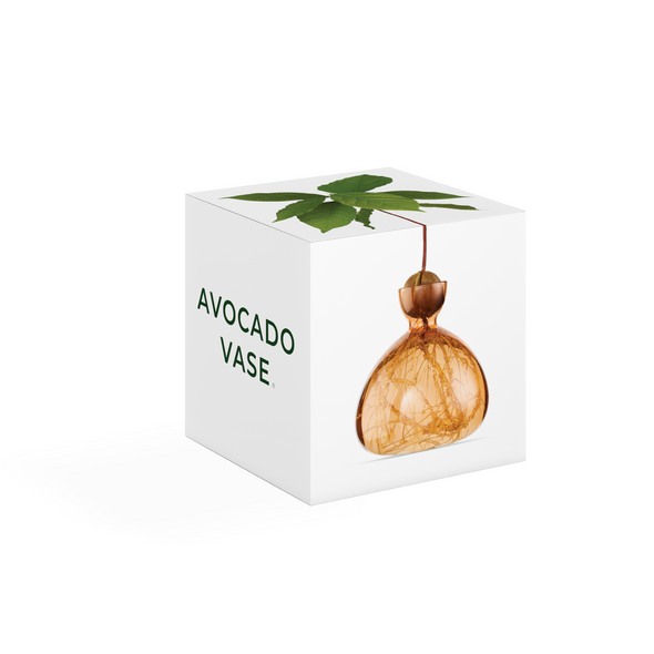 Avocado Vase Sweet Apricot NEW