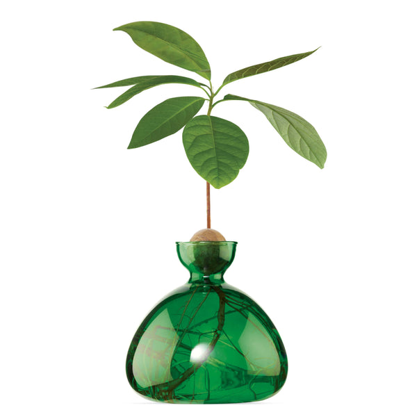 Avocado Vase Emerald Green