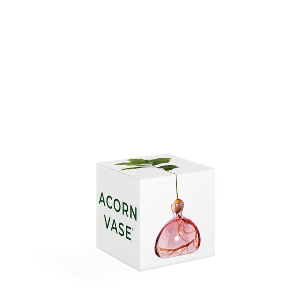 Acorn Vase Rose Pink