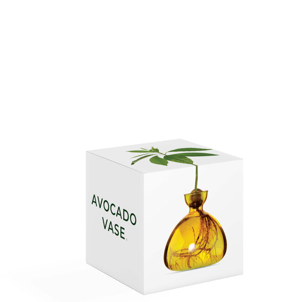 Avocado Vase Mellow Yellow