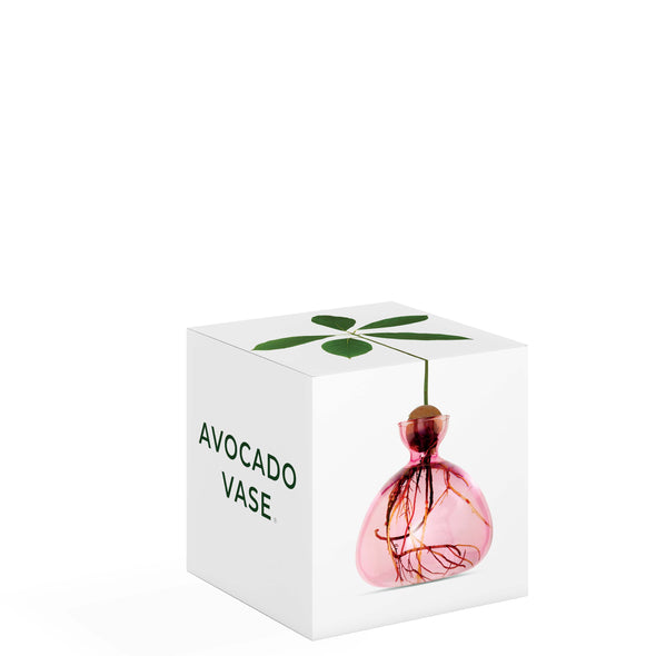 Avocado Vase Rose Pink