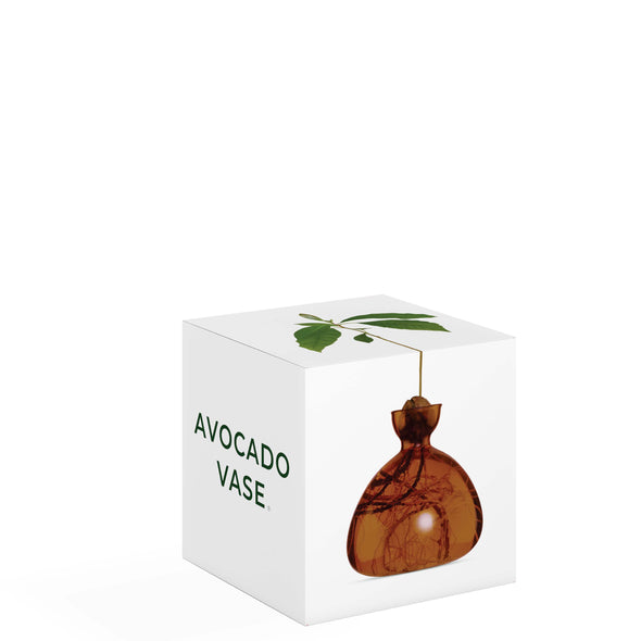 Avocado Vase Russet Brown