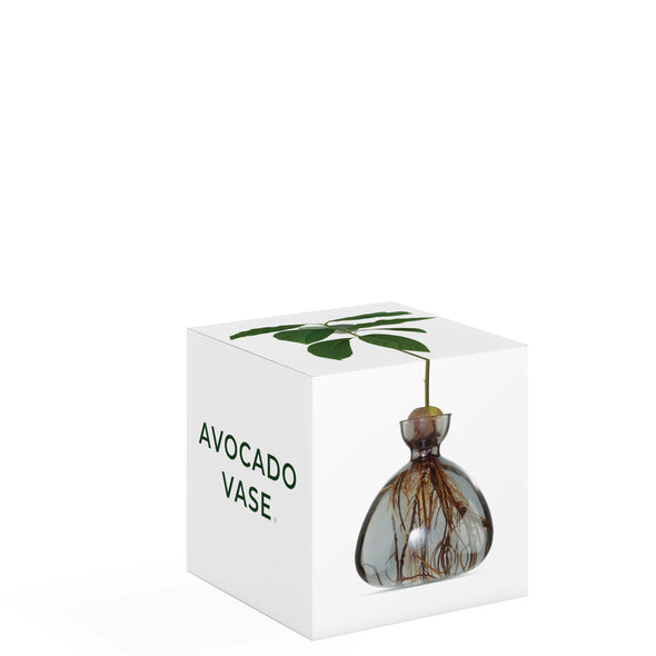 Avocado Vase Smoke Grey