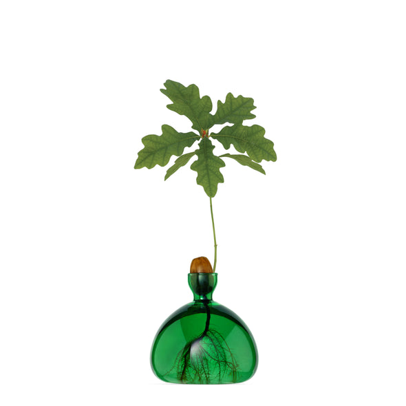 Acorn Vase Emerald Green