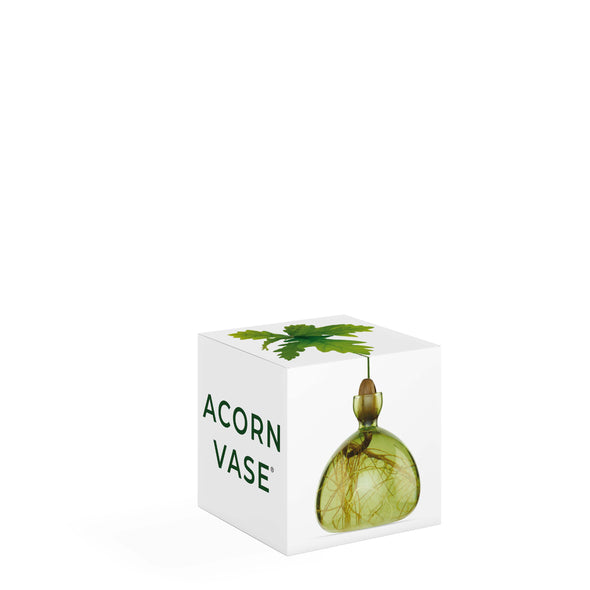 Acorn Vase Grass Green