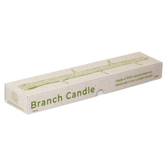 Branch Candle Avocado
