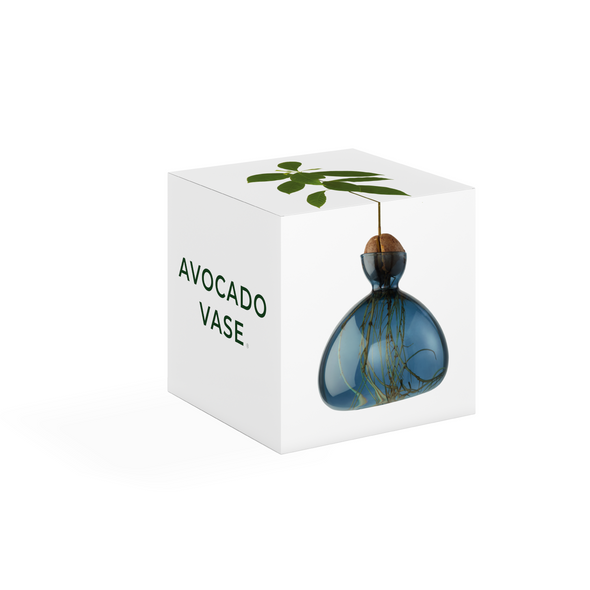 Avocado Vase Blue Jade - Ilex Studio