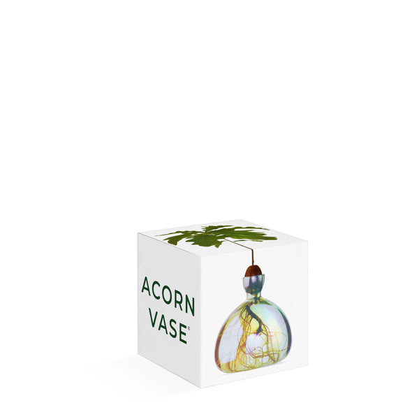 Acorn Vase Cosmic Astra NEW