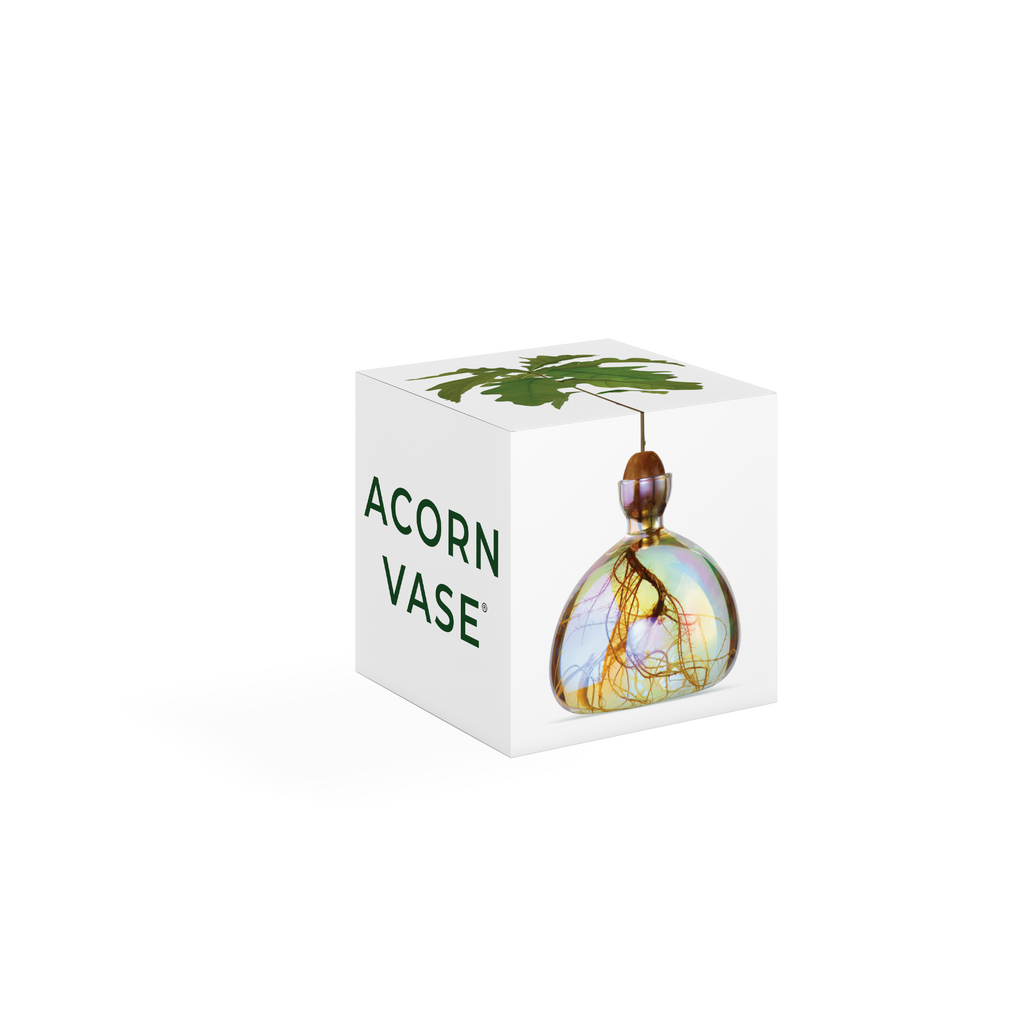 Acorn Vase Cosmic Astra NEW