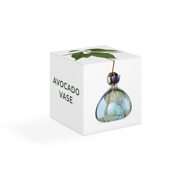 Avocado Vase Cosmic Lyra NEW