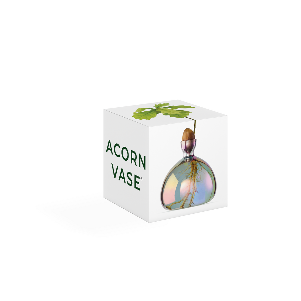 Acorn Vase Cosmic Vega