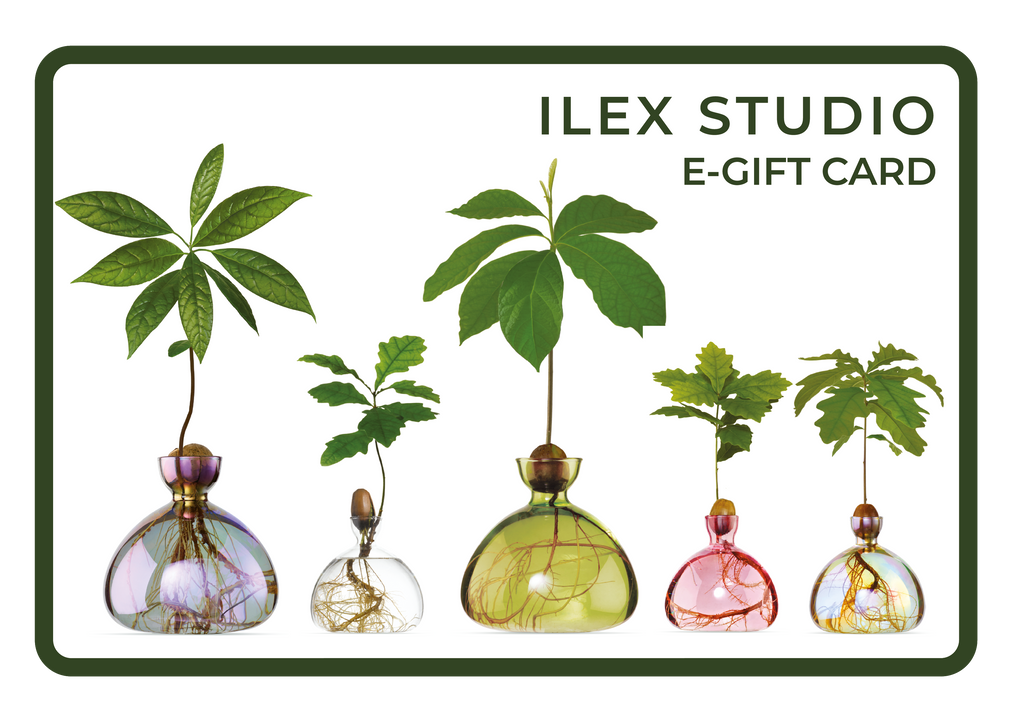 Ilex Studio Gift Card