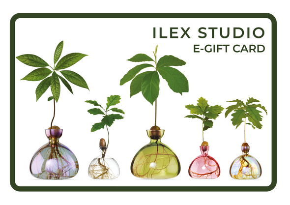 Ilex Studio Gift Card