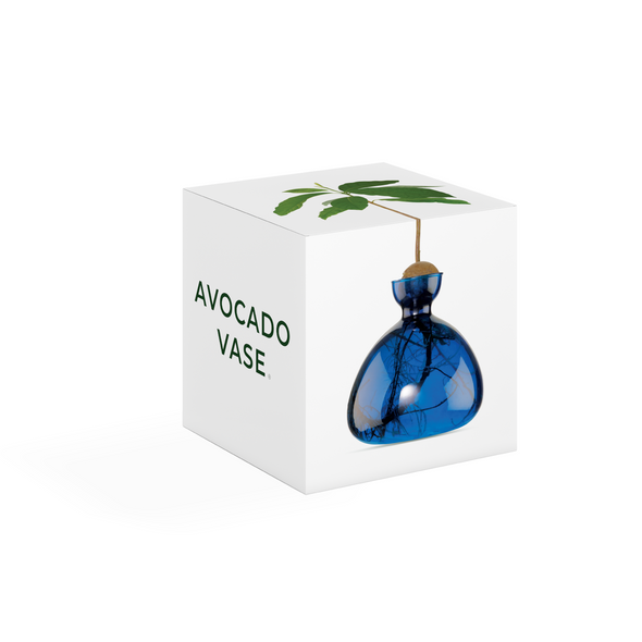Avocado Vase Lapis Blue - Ilex Studio