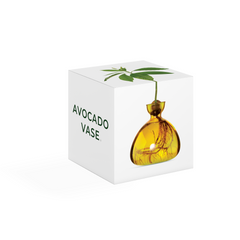 Avocado Vase Mellow Yellow - Ilex Studio