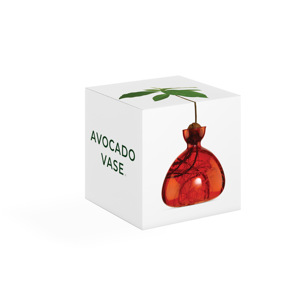 Avocado Vase Scarlet Red - Ilex Studio