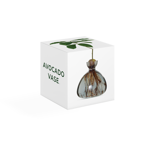 Avocado Vase Smoke Grey - Ilex Studio