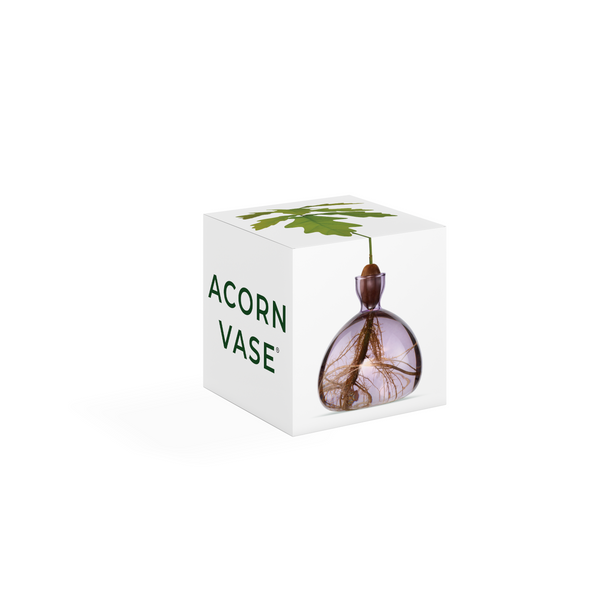Acorn Vase Spring Lilac
