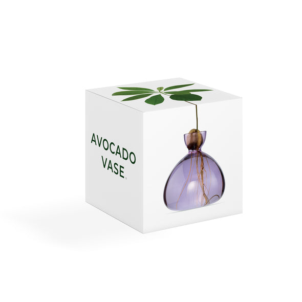 Avocado Vase Spring Lilac NEW