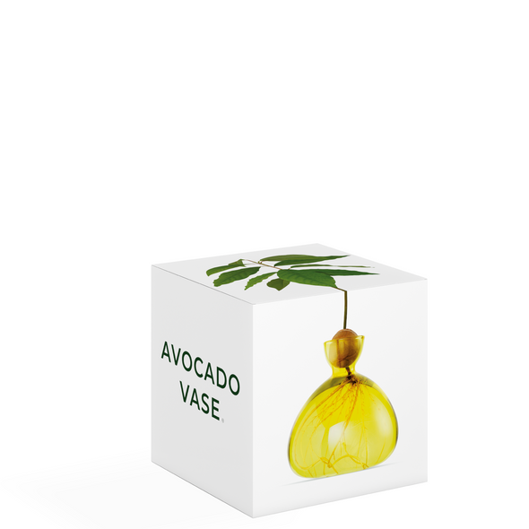 Avocado Vase Sunlight Yellow NEW