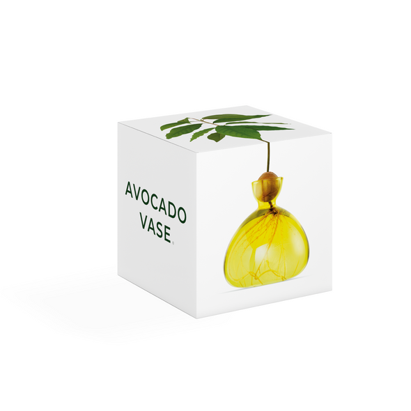 Avocado Vase Sunlight Yellow - Ilex Studio