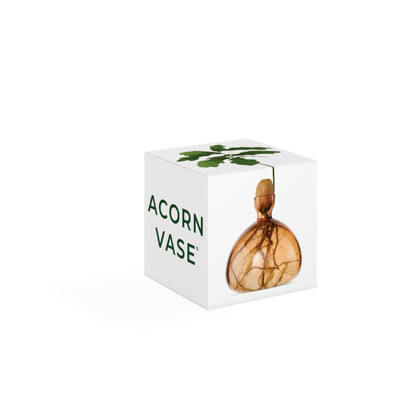 Acorn Vase Sweet Apricot