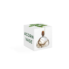 Clear Acorn Vase + FREE Germinated Acorn