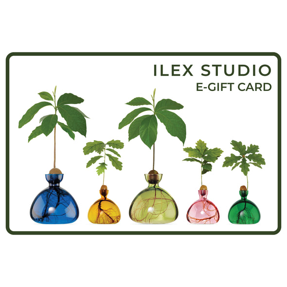 Ilex Studio Gift Card