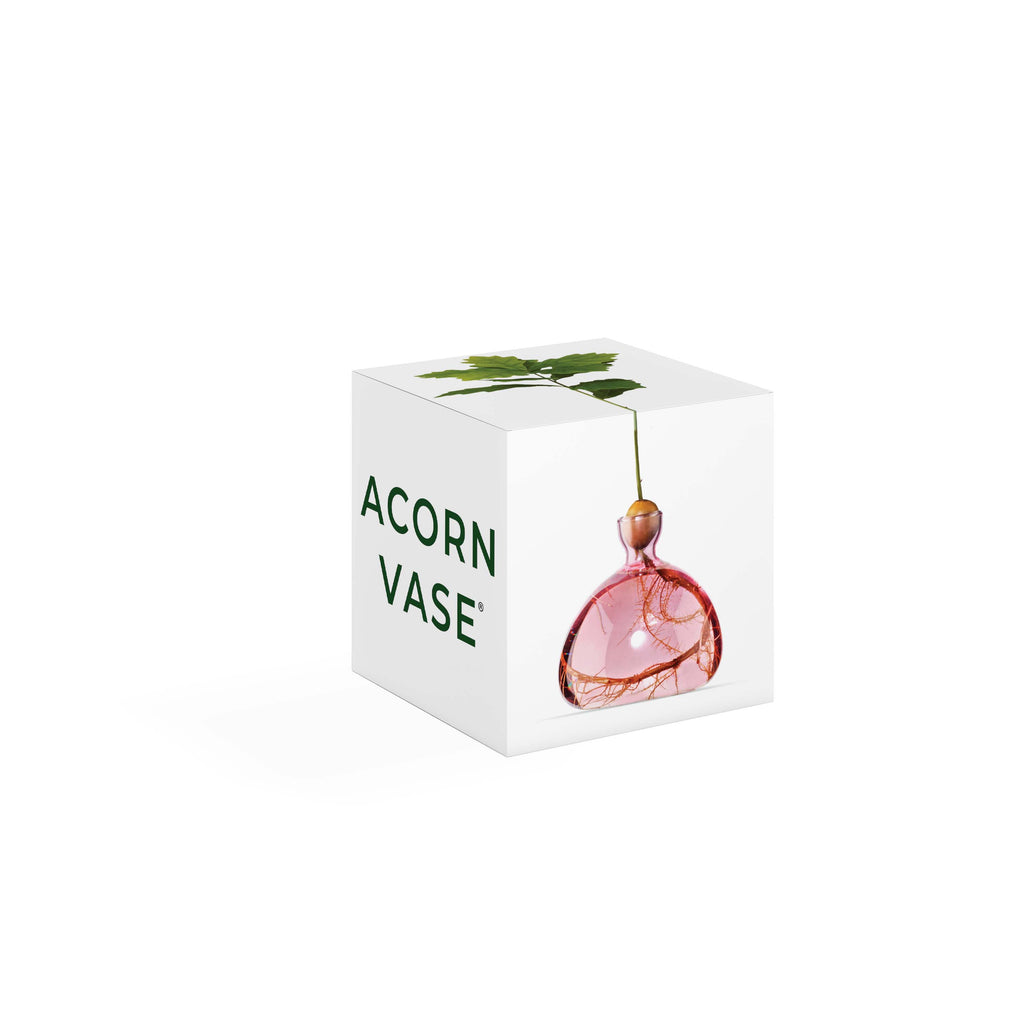 Acorn Vase Rose Pink