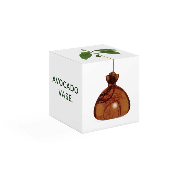 Avocado Vase Russet Brown