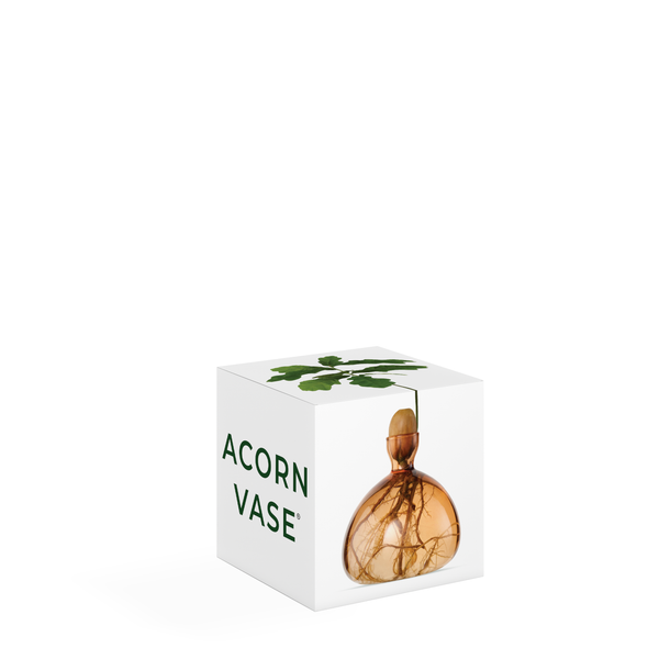 Acorn Vase Sweet Apricot NEW
