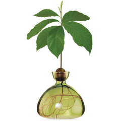Avocado Vase Grass Green