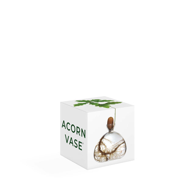 Acorn Vase Clear