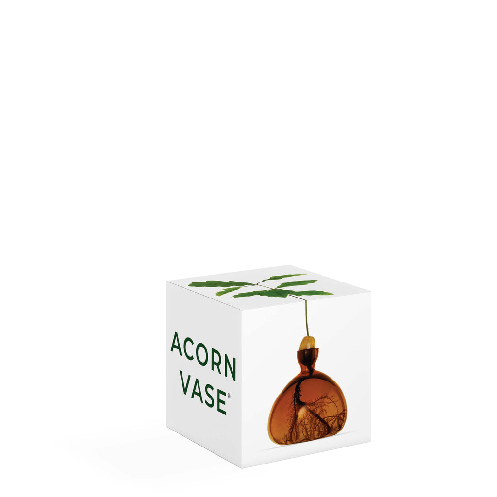 Acorn Vase Russet Brown