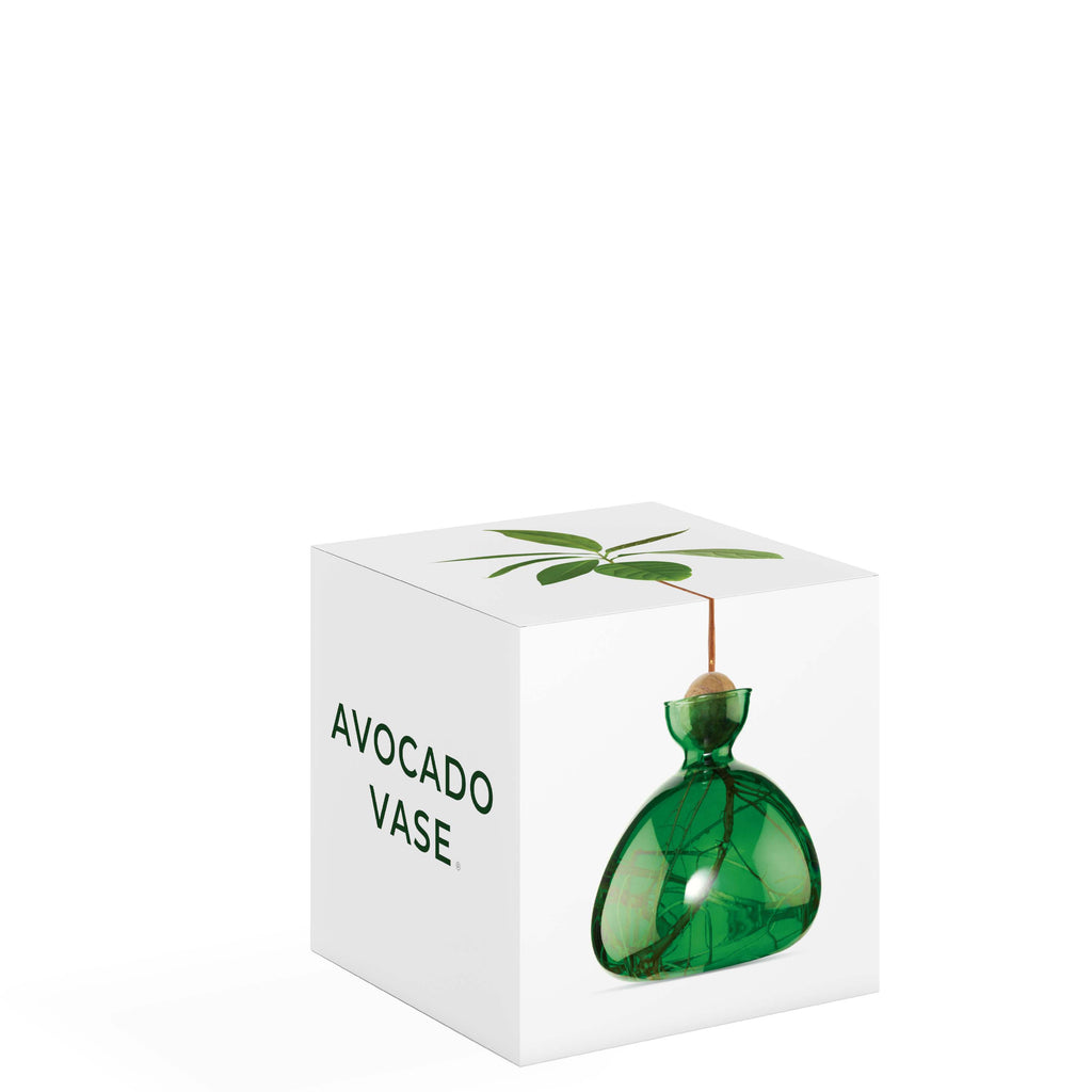 Avocado Vase Emerald Green