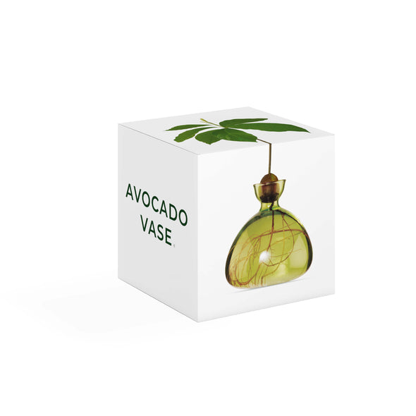 Avocado Vase Grass Green