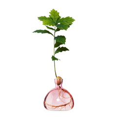 Acorn Vase Rose Pink